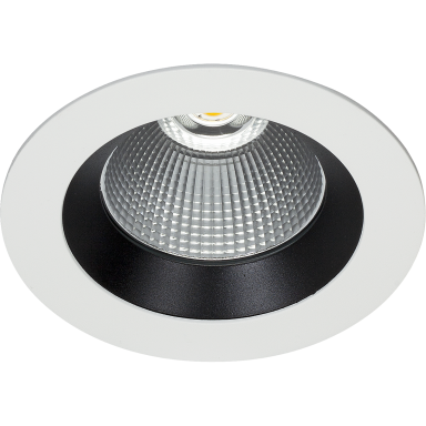 Easyform Silver Downlight standard